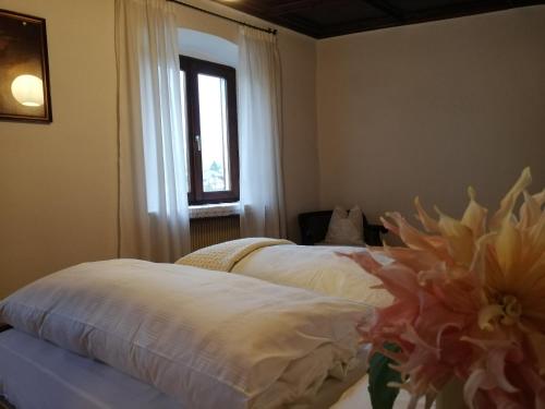 阿皮亚诺苏拉斯特拉达Ansitz Grustdorf的一间卧室设有两张床和窗户。