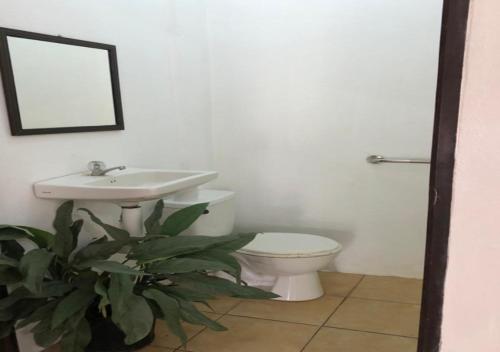 CararaRestaurante y cabinas Sudy的一间带水槽、卫生间和镜子的浴室