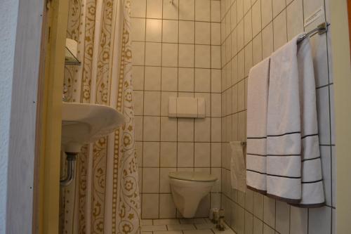 斯凯拜克Motel Sydvest的浴室配有盥洗盆、卫生间和毛巾。