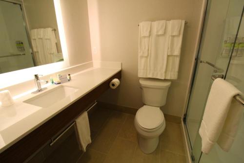 Delmont莫雷斯维尔  - 德尔蒙特智选假日酒店的一间带水槽、卫生间和镜子的浴室