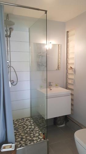 圣安娜HAMEAU DE BEAUREGARD的一间带玻璃淋浴和水槽的浴室