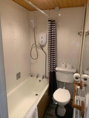 康威Conwy Valley Hotel的带浴缸、卫生间和盥洗盆的浴室