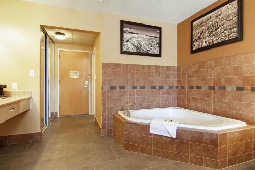 布莱斯峡谷卢比斯贝斯特韦斯特酒店的带浴缸和盥洗盆的大浴室
