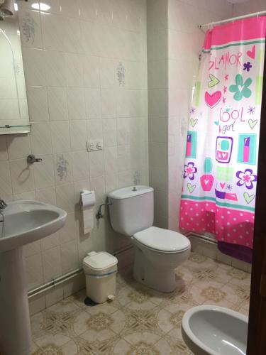 GalendeCasa Sanabresa的浴室设有卫生间、水槽和淋浴帘
