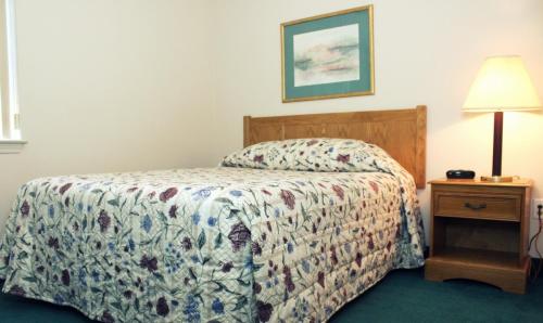 索尔兹伯里索尔兹伯里实惠套房酒店的一间卧室配有一张床和一张带台灯的桌子