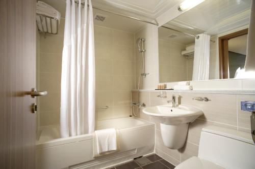 平昌郡阿尔卑希亚假日套房酒店的一间浴室