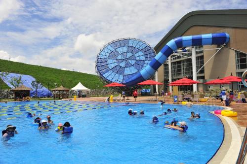 平昌平昌郡阿尔卑希亚假日套房酒店的一群人在带水滑梯的游泳池里