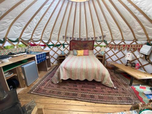 斯托尔河畔希普斯顿Cotswolds Camping at Holycombe的圆顶帐篷内的一张床位,内有地毯