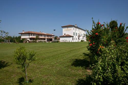 Bagnário ArsaAgriturismo Mulino Delle Tolle的田野上一棵树的大房子