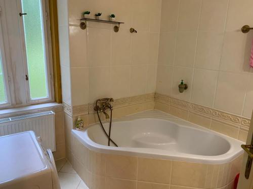 玛丽亚温泉Dream appartment for a nice holiday with a bedroom and living room!的浴室设有浴缸和淋浴。