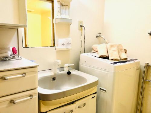 熊本YK Mansion Sannomaru - Vacation STAY 98241的一间带水槽和洗衣机的浴室