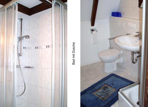 希格斯多夫Ferienhaus Bayern的带淋浴、盥洗盆和卫生间的浴室