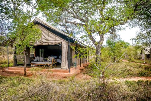 曼耶雷蒂野生动物园Honeyguide Tented Safari Camp - Khoka Moya的田间中的小帐篷