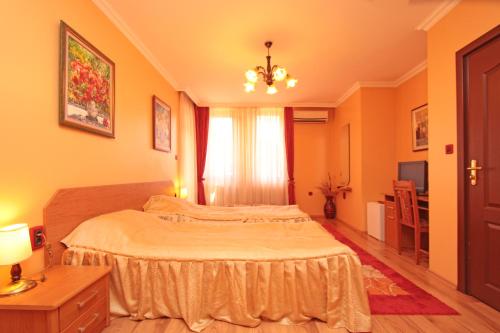 大特尔诺沃银星家庭酒店的一间卧室配有一张大床和一个吊灯。