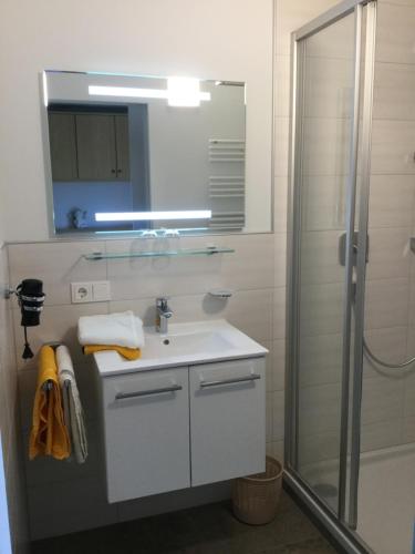 维尔德科格尔山麓布兰贝格瓦恩豪斯公寓的白色的浴室设有水槽和淋浴。