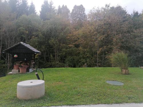SemičApartma Gače的草木中带凉亭和烧烤架的公园