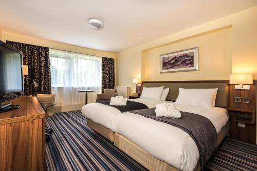 诺里奇假日诺维奇伊普斯威奇路酒店的酒店客房设有两张床和一台平面电视。