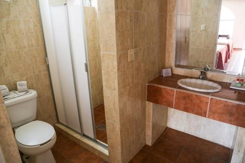 莫雷利亚维拉德尔索尔酒店及套房的一间带卫生间和水槽的浴室