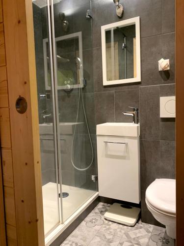 韦尔比耶Verbier Medran apartment的带淋浴、卫生间和盥洗盆的浴室