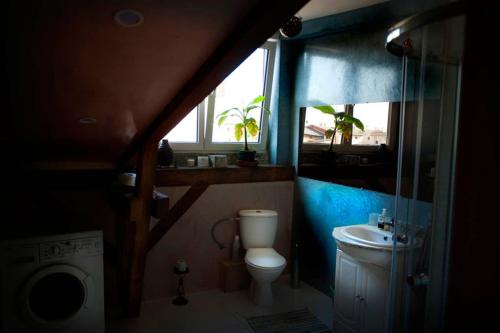 比得哥什Caly apartament的一间带卫生间、水槽和窗户的浴室