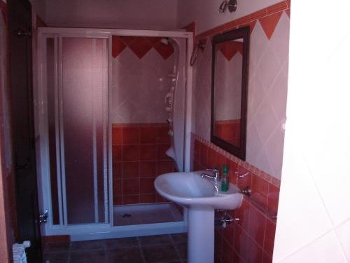 Castilnuevo卡斯蒂尔努埃沃岛公寓的一间带水槽和淋浴的浴室