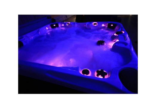 伯恩茅斯斯图尔特山酒店 的紫色的热水浴缸,里面装有岩石