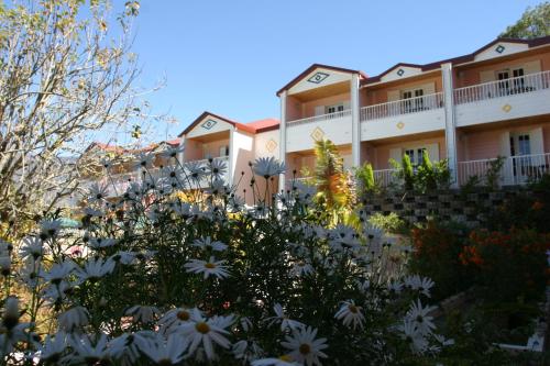 锡拉奥雪酒店的前面有白色花的建筑