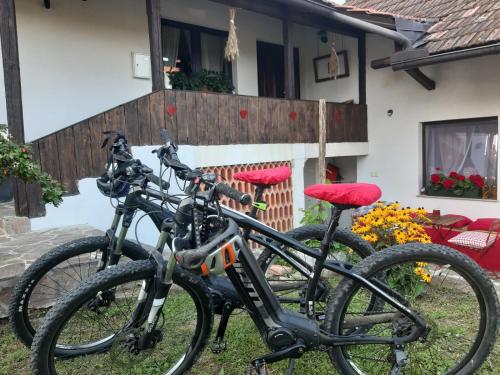 FokovciHIŠA ANTONIJA-APARTMA IRINKA的两辆自行车停在房子前面