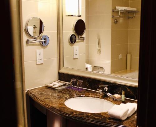 天津天津赛象酒店的一间带水槽和镜子的浴室