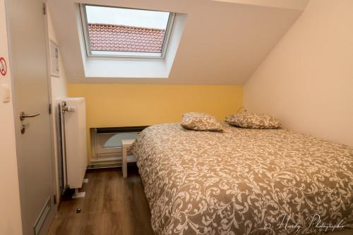 BassengeLes gîtes du Broukay - Alouette的一间卧室设有一张床和一个窗口