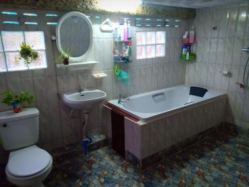 程逸府เฮือนน้ำน่าน house by the river nan的带浴缸、卫生间和盥洗盆的浴室