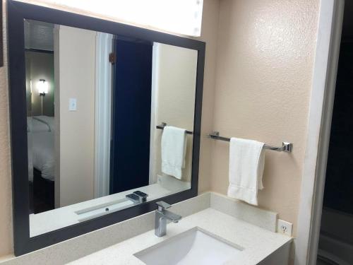 霍顿旅行者沃顿套房汽车旅馆的一间带水槽和大镜子的浴室