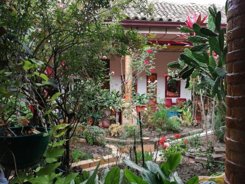 OcañaHotel Real的植物屋前的花园