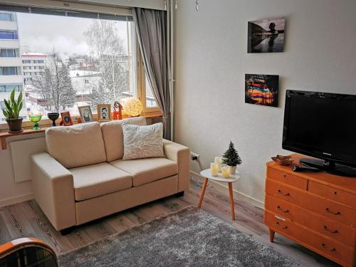曼塔Torni-Mänttä的带沙发、电视和窗户的客厅
