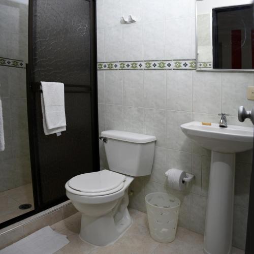 阿劳卡Hotel Nova Park的一间带卫生间和水槽的浴室