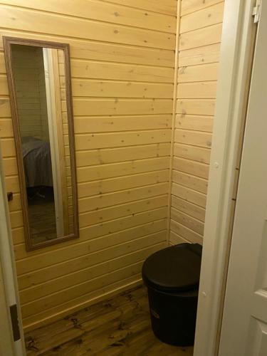 伊纳利Aurora Husky Hut的一间带卫生间和镜子的小浴室