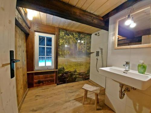 布莱特瑙Ferienhütte Biobetrieb Lippenhof的一间带水槽和淋浴的浴室以及窗户。