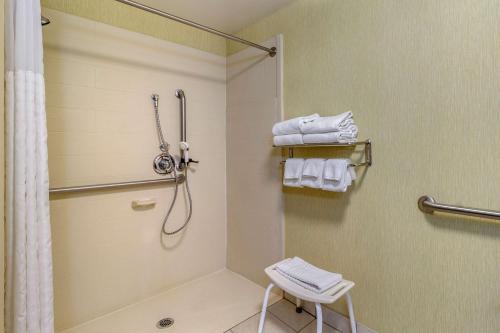 诺克斯维尔西 - 法拉格特康福特套房酒店的一间浴室