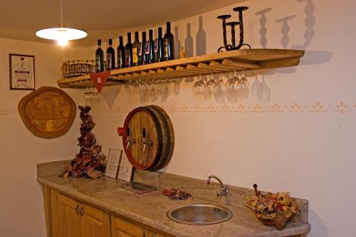 PliskovicaTourist Farm Petelin-Durcik的厨房柜台设有水槽和带酒杯的架子。