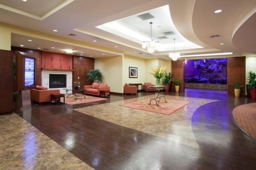 丹佛丹佛国际机场皇冠假日酒店的一个带沙发和壁炉的酒店大堂