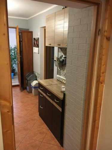 克雷尼察Blachutowka的厨房配有黑色橱柜和瓷砖墙。