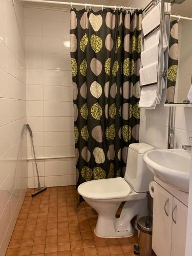 罗瓦涅米阿克内斯公寓式酒店的一间带卫生间和淋浴帘的浴室