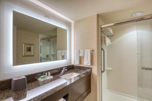 亚特兰大机场北戴斯酒店的一间浴室