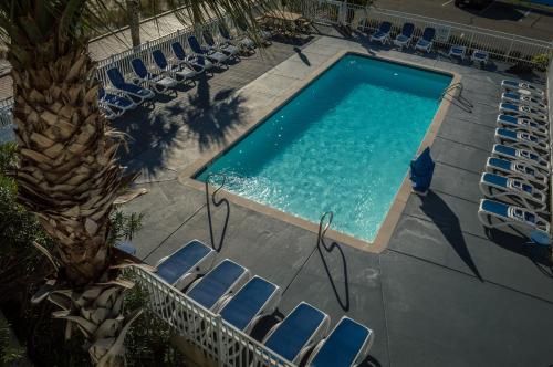 比洛克西南滩比洛克西酒店及套房的享有带椅子和棕榈树的游泳池的顶部景致