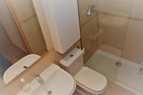 伊斯卡日拉APARTAMENTOS LÁZARO Ctra de Francia 4的浴室配有卫生间、盥洗盆和淋浴。