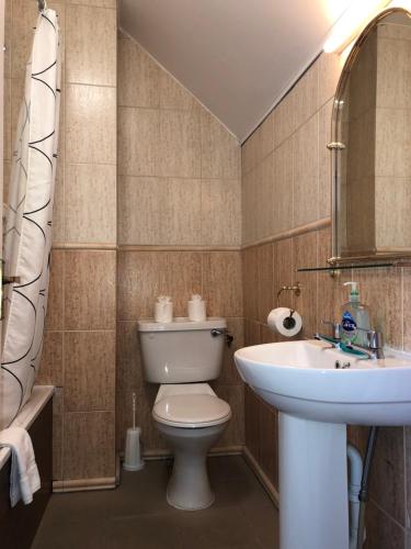 都柏林哈维斯酒店的一间带卫生间和水槽的浴室