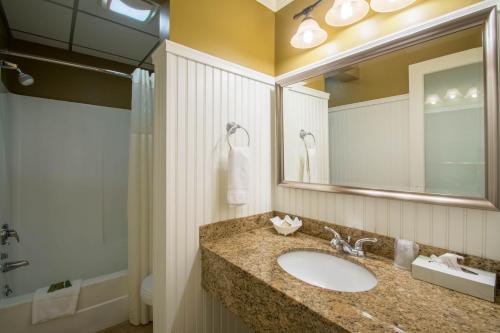 朴茨茅斯安克雷奇套房酒店的一间带水槽、镜子和淋浴的浴室