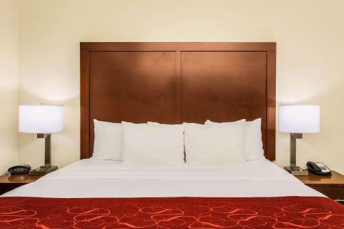 格雷普韦恩DFW N/葡萄藤康福特套房酒店的一间卧室配有一张大床和两盏灯