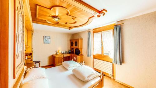 梅尔斯斯维泽霍夫酒店的一间卧室配有两张床和吊扇