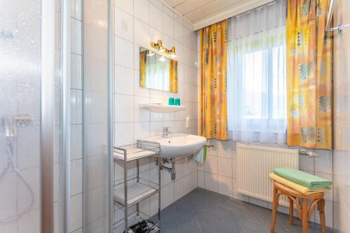 萨菲登安斯泰内嫩米尔穆斯巴赫农家乐的一间带水槽和淋浴的浴室